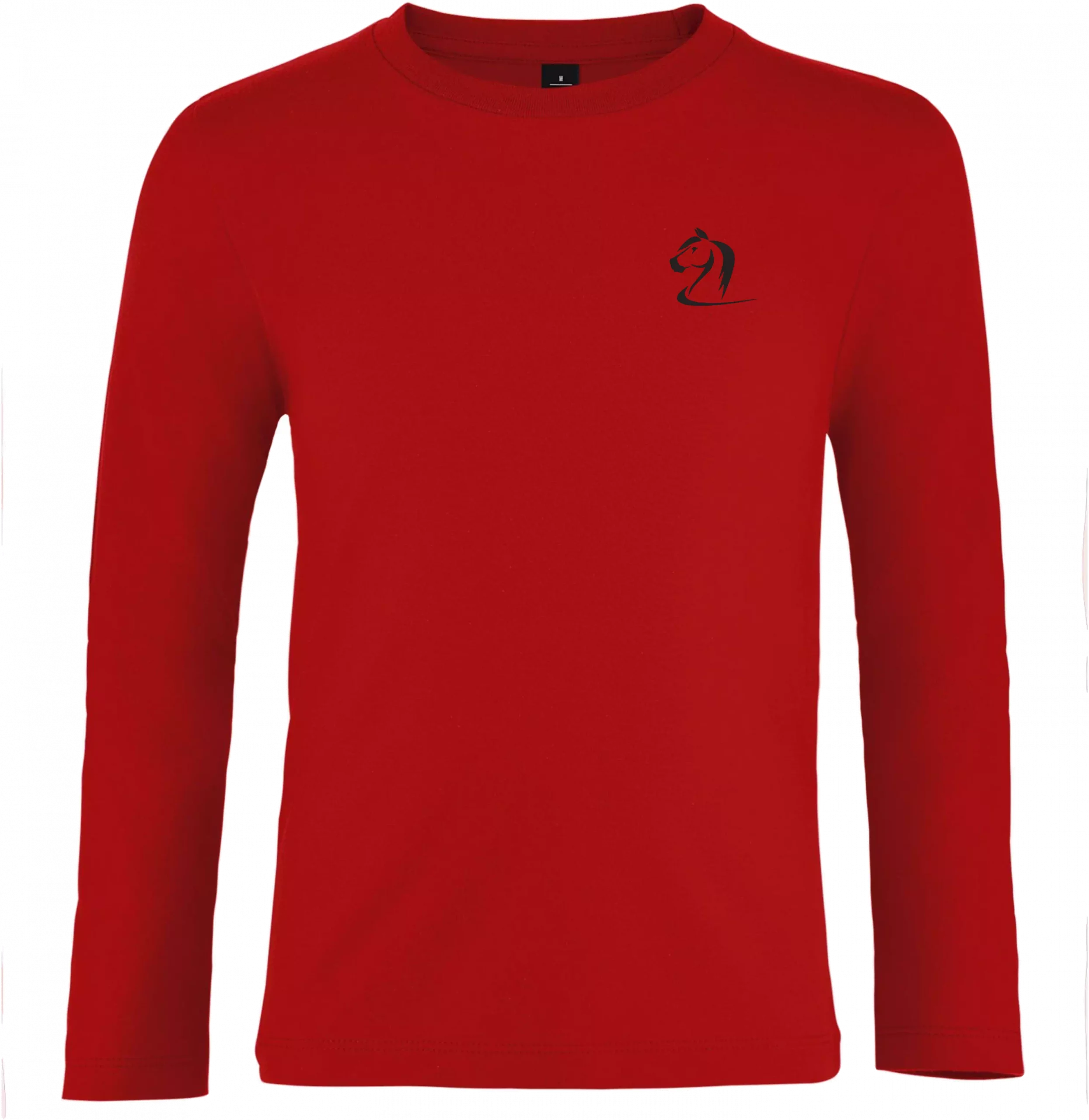 Oyolan Maillot De Bain 2 Pièces Anti-UV Fille - T-Shirt Manches Longues Imprimé Écailles De Poisson Licorne + Short Swimwear 3-12 Ans