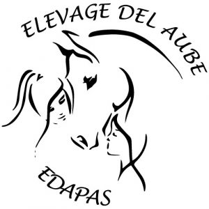 34 - Elevage Del Aube Les Minis d'EDAPAS