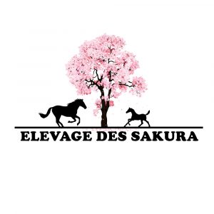 27 - Elevage des Sakura