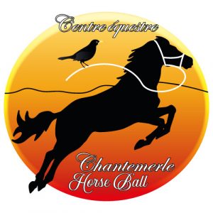 69 Centre Equestre Chantemerle Horse Ball