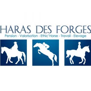 03 - Haras des Forges